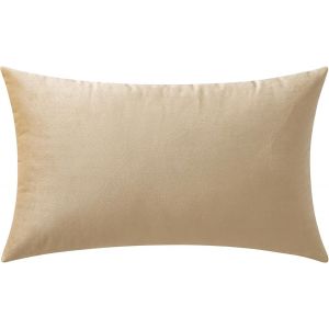 Eryi-Housse De Coussin En Velours Décoratif Canapé Home Decor Taie D'oreiller Super Doux Decoration Maison Salon Chambre Pour Canapé Clic Clac 30 X 50 Cm 12"X20" 1 Pièce Beige Foncé - Neuf