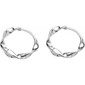 Tianyi-Boucles D'oreilles Cr&eacute;oles Torsad&eacute;es Pour Femme,Boucle D'oreilles Anneaux En Argent Sterling 925,Petite Creole Or/Argent Pour Fille,Fantaisie Bijoux Pour Femme - Neuf