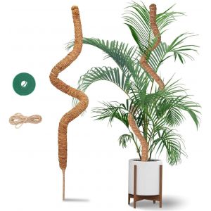KALANKA-120cm Tuteur Monstera - Tuteurs Plante Grimpante - Tuteurs Coco Flexible - Tuteur Plante avec Corde de Jute et Fermeture Autoagrippante - Convient à la Croissance de la Monstera et d'autres G - Neuf