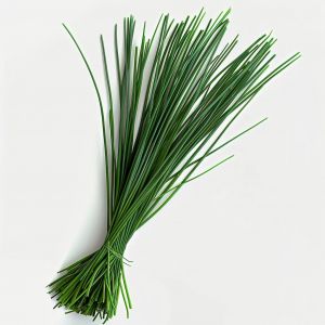 500 Graines De Ciboulette - Semisauvage Permaculture - Neuf