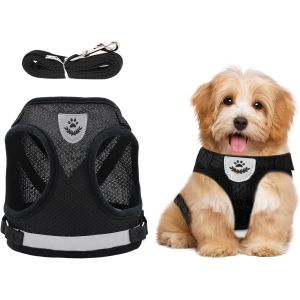 Eryi-Réglable Réfléchissant Harnais Veste, Ensemble Harnais Et Laisse, Harnais Chien Chat, Harnais Gilet Animaux Compagnie, Harnais Réglable Sans Traction, Laisse De Poitrine En Maille Pour Chat Chio - Neuf