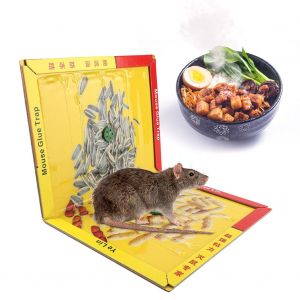 HJLIAN Piege a souris adhesif puissant et parfume a la viande savoureuse, piege a souris a colle, attrape-nuisibles - Neuf
