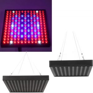 KALANKA-Lampe De Culture LED à Spectre Complet, Haute Efficacité, Lampe De Culture De Plantes à Spectre Complet pour Semis De Serre D'intérieur, 85 à 265V(EU169) - Neuf