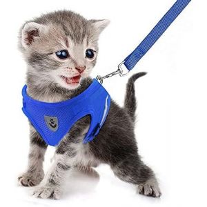 Harnais Et Laisse Pour Chiens, Ensemble Harnais Rembourr&eacute; En Mesh Doux Pour Chiots Et Chats, Veste Respirant R&eacute;glable R&eacute;fl&eacute;chissant Int&eacute;rieur Pour Marcher, Courir, Formation - Neuf