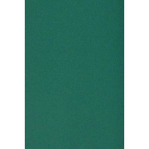 50x Carton Vert Foncé 250g Papier Décoratif A5 148,5x210mm Burano English Green Idéal Pour Cartes De Voeux Scrapbooking Bricolage Invitations Art Et Artisanat Anniversaire Diy Loisirs Créatifs - Neuf
