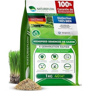 Semences De Regarnissage Gazon 0,5 Kg &ndash; Germination Rapide, Qualit&eacute; Test&eacute;e &ldquo;Tr&egrave;s Bien&rdquo;, Fabriqu&eacute;es En Allemagne, Couvrent 20 M&sup2; &ndash; Id&eacute;al Pour R&eacute;parer Et Densifier Le Gazon - Neuf