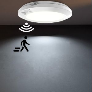 SUBZONAL-Lampe Detecteur de Mouvement Interieur, &iquest;16cm 6000K Lumiere Armoire &agrave; Piles, Veilleuse pour Caves &agrave; Vin, Stockage, Escaliers, Garages, Pi&egrave;ces Utilitaires(1 PCS) - Neuf