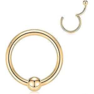 316l Acier Chirurgical Pliable Sans Couture Septum Clic Anneau 16g Nez Anneau Tragus Cartilage H&eacute;lice Daith Boucle D'oreille Cerceau Piercing Bijoux Pour Femmes Filles - Neuf