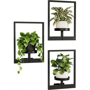 NouvelHorizonstore-Support Plantes d'Int&eacute;rieur Porte Plante Mural - Lot de 3 &Eacute;tag&egrave;res Suspendues pour Fen&ecirc;tre avec Porte Pots Design, Pr&eacute;sentoir Mural pour Pot de Fleurs et D&eacute;cor Maison (Brevet&eacute;) - Neuf