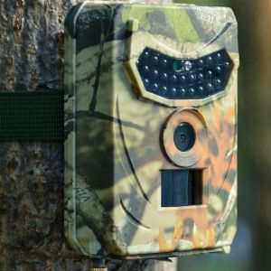 Caméra de chasse et de suivi de la faune 1080p, infrarouge, pièges photo pour la chasse au cerf, vision nocturne - Neuf