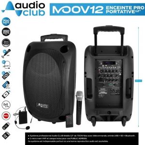 Enceinte Bluetooth SONO portable sans fil 700W St&eacute;r&eacute;o USB- BT -FM- SD CARD TWS- 2 MICROS UHF -Syst&egrave;me de sonorisation portable - Neuf