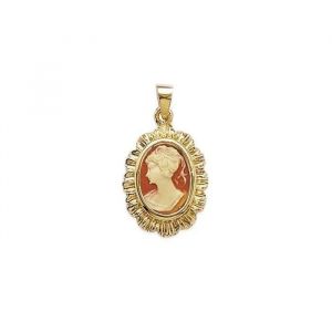Pendentif - Bijouxia - Cam&eacute;e Rouge - Plaqu&eacute; Or 18 Carats - Hauteur 28mm - Largeur 15mm - Neuf
