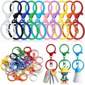 ERYI-Porte Clef Mousqueton,100 Pièces Mousqueton Porte Clé,Anneaux Porte Clé,Attache Porte Clé,Anneau Porte Clé Pour Bijoux Gadget Diy Décoratio - Neuf