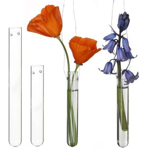 BNHGC-COMFORDER Vase Décoratif en Forme de Tube à Essai en Verre pour Fleurs, Boutures, Station de Bouturage, Plantes Suspendues - 12 pcs - Neuf