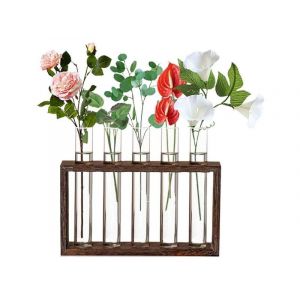 Jardini&egrave;re murale en verre avec 5 tubes &agrave; essai pour plantes et fleurs - Neuf