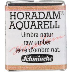 Aquarelle D'artiste Tr&iquest;&iquest;S Fine, 667 Umbra Naturel, 14 667 044, 1/2 Godet - Neuf