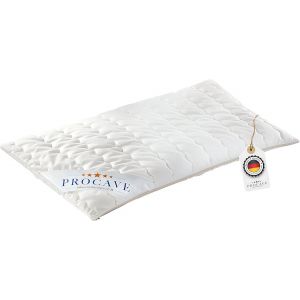 Oreiller &Agrave; La Balle D'&eacute;peautre,Coussin Respirant Avec Vannure D'&eacute;peautre,Coussin De C&eacute;r&eacute;ales Dot&eacute; D'une Housse En Coton,Fabriqu&eacute; En Allemagne 40x60cm - Neuf