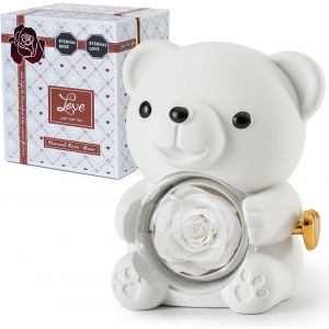 Ours en Rose Blanc avec Rose &Eacute;ternelle - Fleurs R&eacute;elles et Collier en Forme de C?ur - Coffret Gris &Eacute;l&eacute;gant - Id&eacute;e Cadeau pour Saint-Valentin, F&ecirc;te des M&egrave;res, Mariage, Anniversaire - Neuf