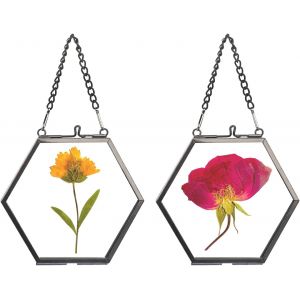 CMWX-Lot de 2 mini cadres photo hexagonaux en métal et verre - À suspendre - Ornement géométrique - Plante - Clip en verre pour fleurs pressées - Noir - 4,7 cm - Cadre uniquement - Neuf