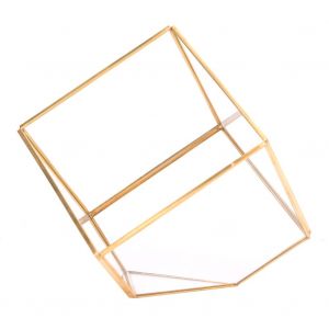 Pot de fleurs de plantes succulentes de forme géométrique dorée, jardinière en verre, décoration de Table de paysage pour la maison - Neuf