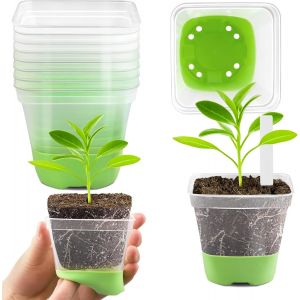 Nouvelhorizonstore-Lot De 24 Mini Pots De Culture, Carr&eacute;s, Transparents, 8 Cm, Avec Socle En Silicone, R&eacute;utilisables, En Plastique, Pour Semis, Plantes Succulentes, Verts - Neuf