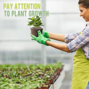 Lot De 30 Pots &Agrave; Orchid&eacute;es En Plastique Transparent De 7,62 Cm Avec Trous,Adapt&eacute;s Pour Le Rempotage D'orchid&eacute;es,Plantes Grasses Et Autres Plantes D'int&eacute;rieur Et D'ext&eacute;rieur Pour Semis - Neuf