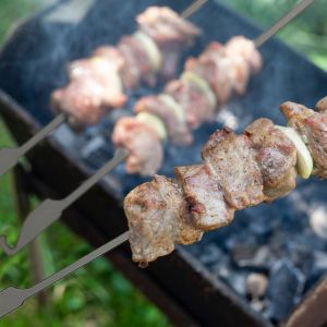Brochettes De Barbecue Plates En Ti, 10 PièCes, BâTonnets De Barbecue Pour Pique-Nique En Plein Air, ArrièRe-Cour, Grillades, Brochettes De Kabob - Neuf