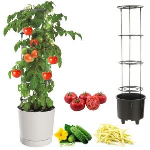 Pot &Agrave; L&eacute;gumes Vigne Tomate Concombre Haricot &Oslash;30 Cm Blanc - Neuf