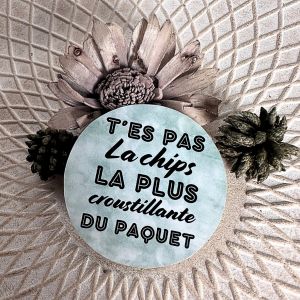 sticker personnalisé - t&#39;es pas la chips la plus .. - fait main - Neuf