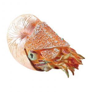 Mini figurine de poisson r&eacute;aliste, animal marin, jouet, r&eacute;plique de d&eacute;coration de g&acirc;teau, jouet &eacute;ducatif pour enfants, collection de boutiques d'aquarium-T15380 - Neuf