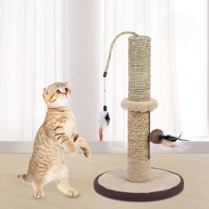 Hjlian Arbre A Chat Pour Chaton, Jouet A Macher, A Grimper Et A Gratter - Neuf