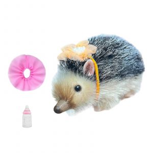 Poupée hérisson réaliste de 12,7 cm, jouet réaliste, animal mignon, pour fête, anniversaire, vacances - Neuf