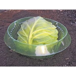 Snail protection ring, set of 5 - Neuf