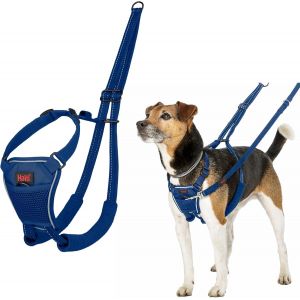 Eryi-Harnais Anti-Traction Halti - Pour Que Votre Chien Arrête De Tirer Sur Sa Laisse, Réfléchissant, Sangle De Poitrail Et Des Pattes Avant Rembourrée, Harnais Pour Petits Chiens (Taille Xs, Bleu Co - Neuf