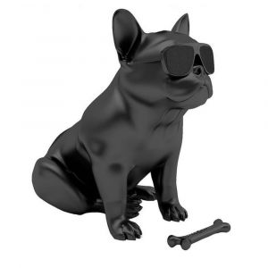 AeroBull HD1 Station d'Accueil/Enceinte Bluetooth - Noir Mat - Neuf