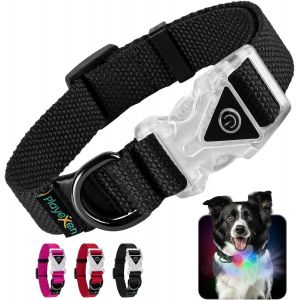 Chenquansarl-Collier Lumineux Chien Collier Chiot Lumière Avec Bouton-Poussoir Lumineux Clignotant Colliers 7 Led Couleurs Collier Chien Chat Coton Doux Réglable Pour Chiot Moyen Grand, 35-50/2,5cm ( - Neuf