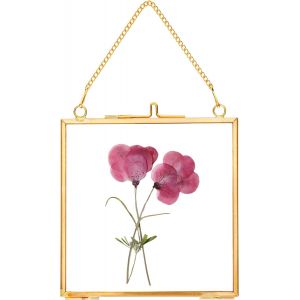 CMWX-Cadres pour fleurs pressées, cadres flottants en verre pour afficher des spécimens de plantes séchées, photos, cadre photo en laiton avec chaîne suspendue, double vitrage clair, carré - Neuf