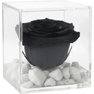 PremiumRose Rose Noir Stabilis&eacute; Parfum&eacute; 8cm, Vraie Rose Eternelle, Id&eacute;e Cadeau Maman, Copine, Amie, id&eacute;e Cadeau Anniversaire, Remise de Dipl&ocirc;me (Noir - A 1087) - Neuf