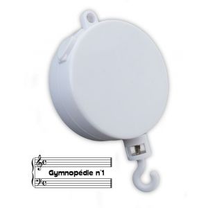 Gymnop&eacute;die N&deg;1 (Eric Satie) - Bo&icirc;te &Agrave; Musique / M&eacute;canisme Musical Pour Mobile - Neuf