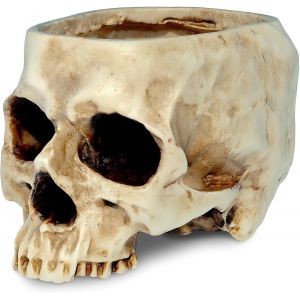 ASFASFq-Pot de Fleurs en Forme de Crâne/tête de Mort Humain - Neuf