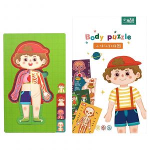 Jouet de puzzle scientifique, jouet de tableau cognitif d'organe de torse humain, jouet &eacute;ducatif d'enseignement pour enfants, fournitures de classe pr&eacute;scolaire-gar&ccedil;on - Neuf