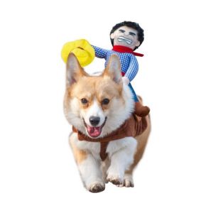 Costume De Charmant Cavalier De Cow-Boy Pour Chien - Tenue Amusante En Flanelle Avec Chapeau Et &Eacute;charpe Pour Halloween Et &Eacute;v&eacute;nements - Parfait Pour Les Chiens De Taille Moyenne - Neuf
