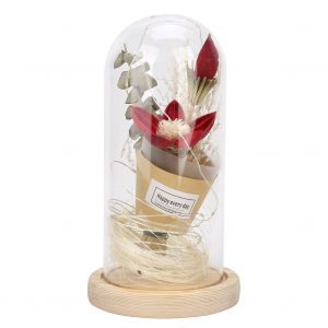 HJLIAN Lampe LED en forme de fleur de lys artificielle preservee, avec couvercle en verre, decoration nocturne, cadeau pour la fete des meres, blanc chaud - Neuf