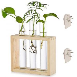 Vase étagère en verre en bois,décoration murale support hydroponique,porte-vase tube à essai,peut accrocher transparent en bois - Neuf