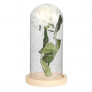 Hjlian Lampe Led En Forme De Rose, Veilleuse Romantique, Cadeau D'anniversaire, De Mariage, Decoration D'interieur (Rose Et Blanc) - Neuf