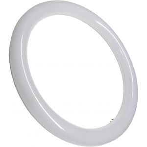 Tube LED Circulaire G10 300mm 18W,Couleur Blanc Froid (6500K),Sans installation,Tube rond cuisine - Neuf