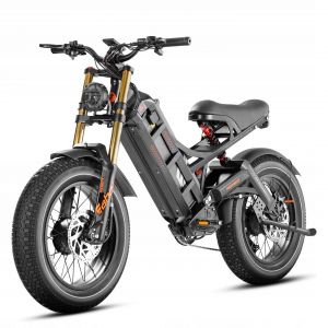 Vélo Électrique Eahora Romeo Ii, Deux Moteurs, 2500 W, 52v, 60ah, 60 Km/H, Pneus 20&#34; X 4,5&#34;, Amortissement Complet, 5 Niveaux D&#39;Assistance Au Pédalage - Neuf