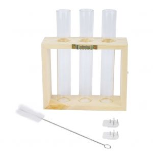 HJLIAN vase en verre transparent pour terrarium, table, culture hydroponique, bonsai - Neuf