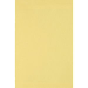 20x Carton Jaune Clair 250g Papier D&eacute;coratif A4 210x297mm Burano Giallo Id&eacute;al Pour Cartes De Voeux Scrapbooking Bricolage Invitations Art Et Artisanat Anniversaire Diy Loisirs Cr&eacute;atifs - Neuf
