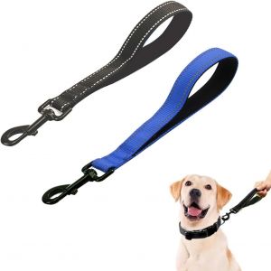 Lot De 2 Laisses Pour Chien - 30 Cm - En Nylon - Avec Poign&eacute;e Rembourr&eacute;e - Courtes - Pour Chiens De Taille Moyenne Et Grande Taille - Noir Et Bleu - Neuf